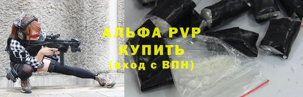 прущие грибы Всеволожск
