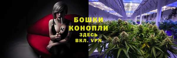 МДМА Белокуриха
