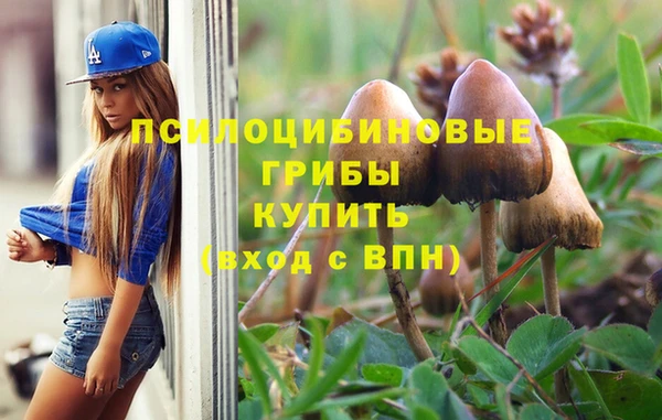 a pvp Белоозёрский