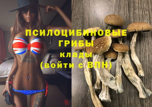 a pvp Белоозёрский