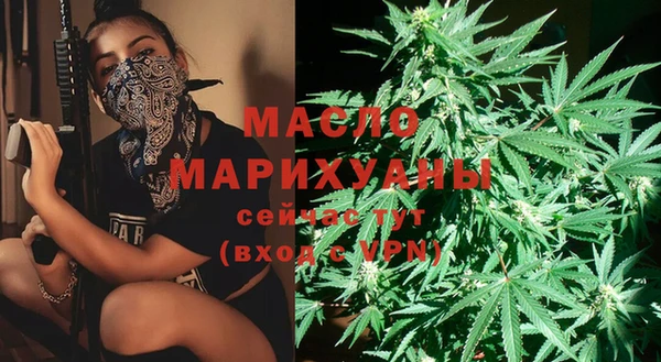 индика Баксан