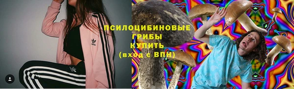 apvp Беломорск