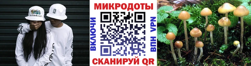 купить   сайты даркнета Telegram  Галлюциногенные грибы мухоморы  Олёкминск  ОМГ ОМГ сайт 