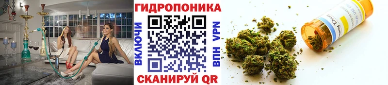 нарко площадка как зайти  Олёкминск  Каннабис сатива 